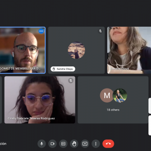 Capura de pantalla de los asistentes a la reunión